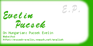 evelin pucsek business card